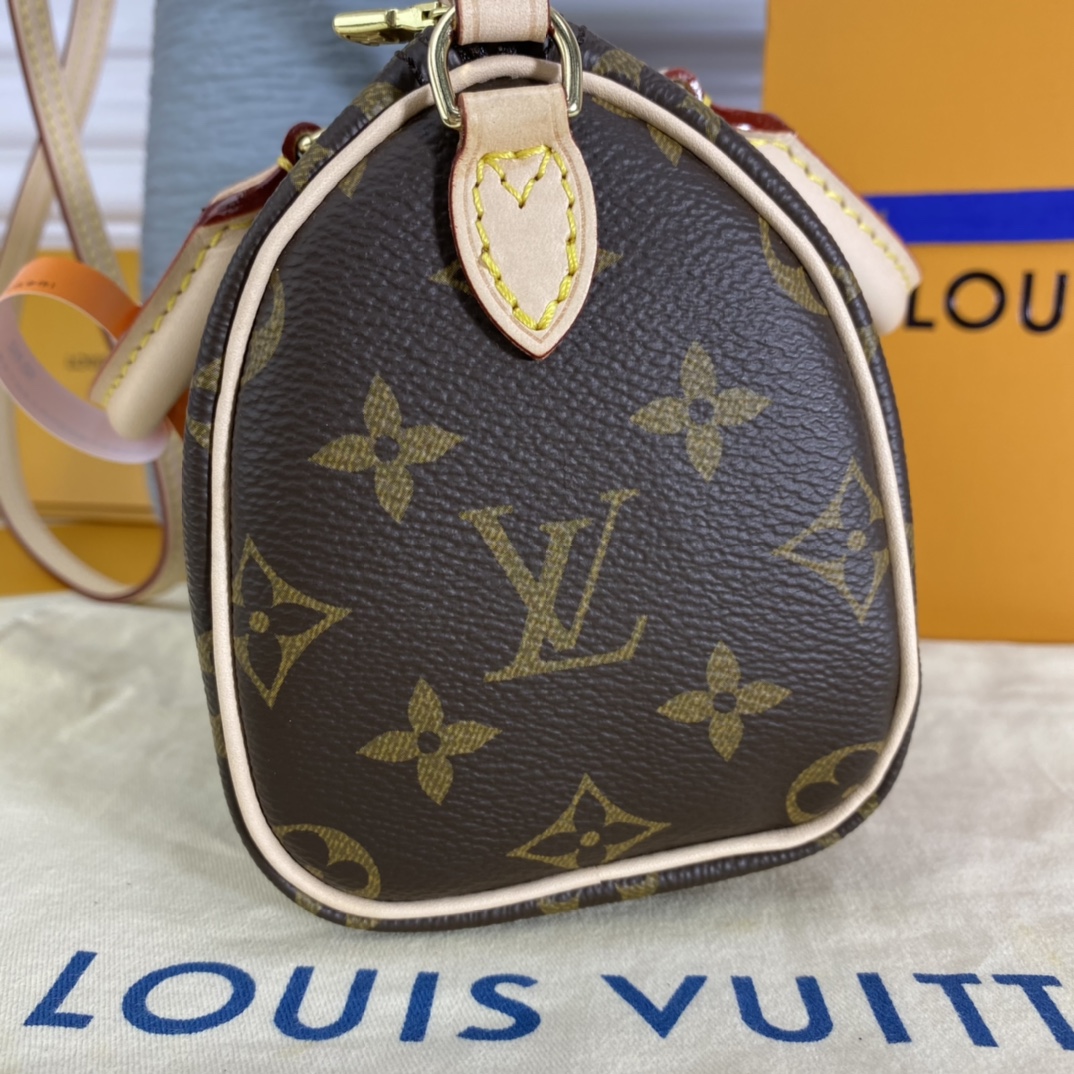 Louis Vuitton NANO SPEEDY Monogram Handbag M61252 